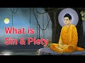 What is piety  sin in accordance with the law of nature