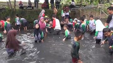 NET JABAR - TRADISI UNIK SEKOLAH DASAR, MENANGKAP IKAN DENGAN TANGAN KOSONG
