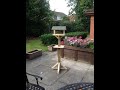 I make a Bird feeding station for a Nursing Home