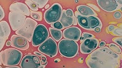 Pretty Spring Colors Flip Cup Set to Music! (215)  - Durasi: 5:17. 