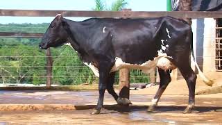 LOTE 11 3972 BZ   5089 BB