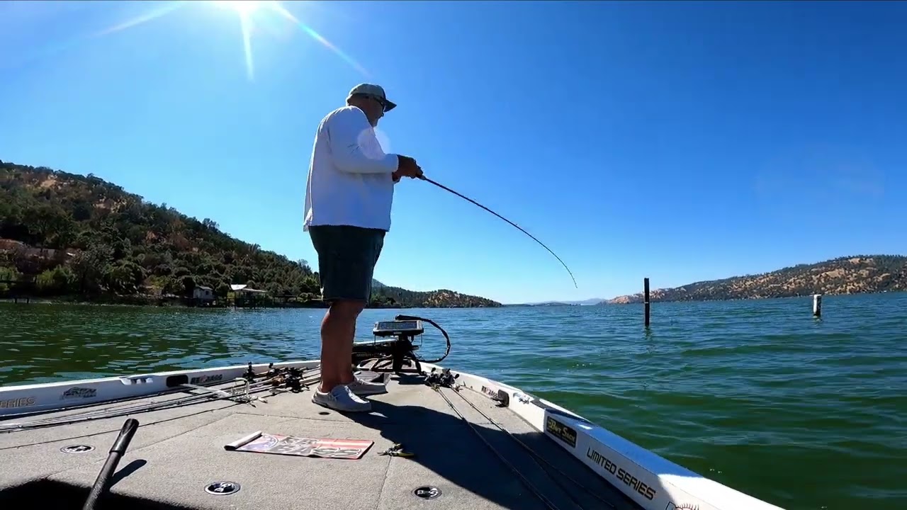 Sunday Fun day. Bass and cats. Big fish#rbbass #bigbassenergy #fishing #Clearlake