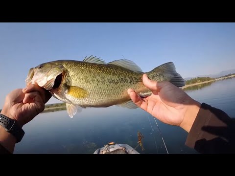 Small Mouth Bass Fishing