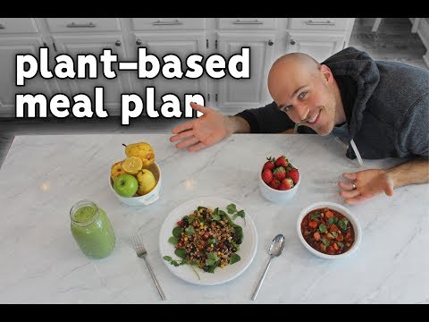 plant-based-diet-meal-plan-for-busy-people
