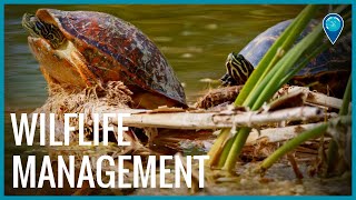 Wildlife management areas in Florida Keys National Marine Sanctuary