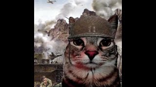 Dxmnbroo  Gnome Phonk  