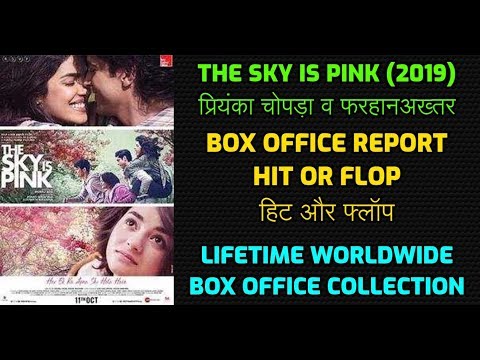 priyanka-chopra-the-sky-is-pink-2019-movie-box-offce-report-hit-or-flop