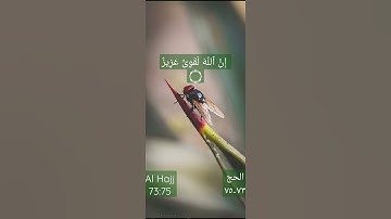 يأيها الناس ضرب مثل فاستمعوا له سورة الحج ٧٣ شيخ ياسر الدوسري surah Al Hajj 73:75 Yasser AlDosari