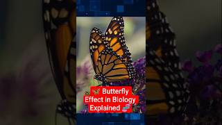 🦋 Butterfly Effect in Biology Explained 🧬 #science #facts