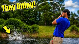 They Biting!! Hook Set Action! Spring Time Bassin! pre spawn/spawn bite