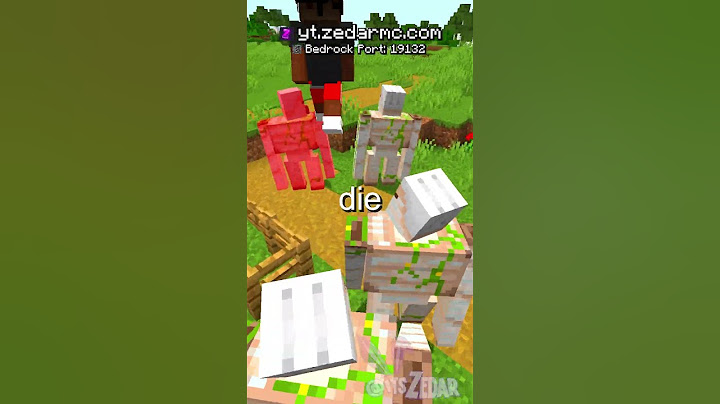 I Found IShowSpeed on my Minecraft Server!