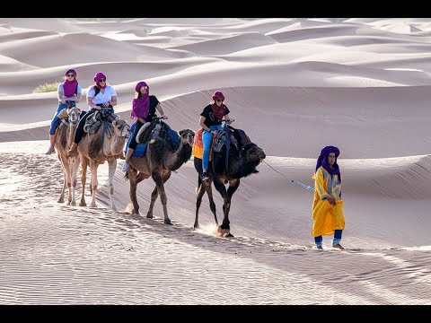 Camel Trekking Across