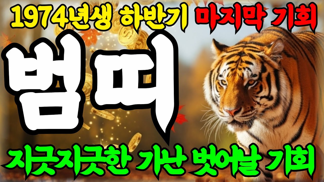 호랑이띠 말도 안된다! 소름끼치는 2025년 1974년 52세 갑인생 호랑이띠 인생 말년운세! 외면당했던 모진 인생 반전의 기회온다!