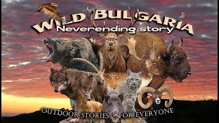 Wild Bulgaria chapter 4: Neverending story
