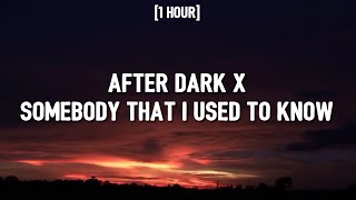 After Dark x Somebody That I Used To Know [1 HOUR/Lyrics] TikTok Mashup | Mr. Kitty x Gotye