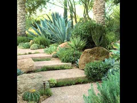 Cactus Garden Ideas ideas on pinterest fancy cactus garden stunning decoration cactus info how to build garden Easy Diy Cactus Garden Design Decorating Ideas Youtube Cactus Garden Ideas give your cacti a good home Easy Diy Cactus Garden Design Decorating Ideas Youtube
