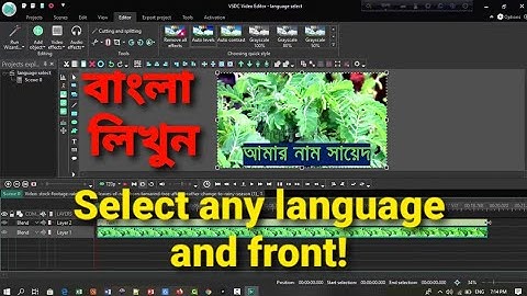 How write bangla in VSDC video editing software || How to select language in VSDC