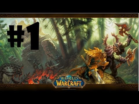 Zagrajmy w World of Warcraft #1 - Tworzenie postaci i podstawy
