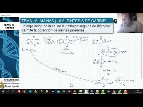 Video: ¿Qué amina se puede preparar mediante la síntesis de ftalimida de Gabriel?