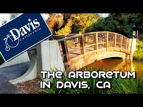 Travel along to the Davis, CA Arboretum Nature walk