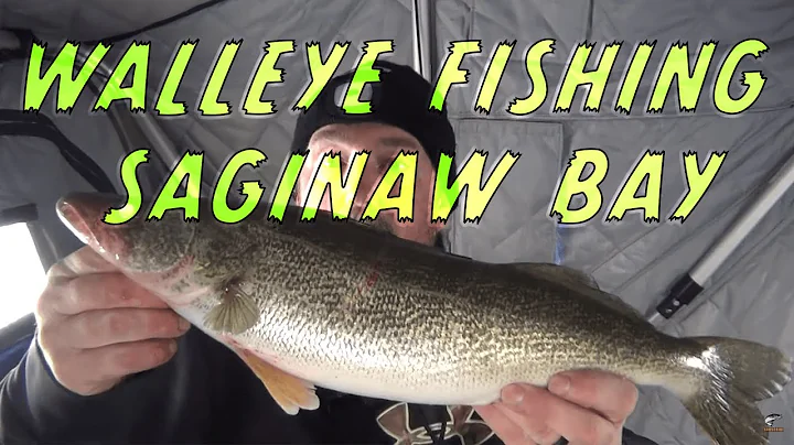 Underwater HD Footage. Ice Fishing Walleyes on Saginaw Bay.