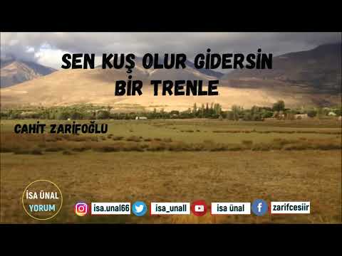 Cahit Zarifoğlu | Sen Kuş Olur Gidersin Bir Trenle