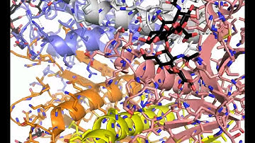3D zoom and rotation of a ligand for a protein, 2chb