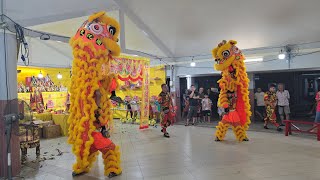 新加坡獅城揚威文化團 Singapore YangWei Big Flag, Dragon & Lion Dance Performances @ 昇蓮宫 on 11/05/24