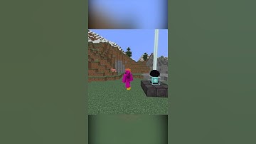 The Rarest Block in Minecraft... #shorts