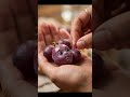 The cutest little grape you’ve ever seen! 🍇❤️ shorts #grapecreature #cutecreatures #satisfying