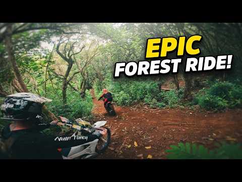 Surron Ultra Bee Epic Forest Trail Adventure - Hawaii Trail Riding Vol.12