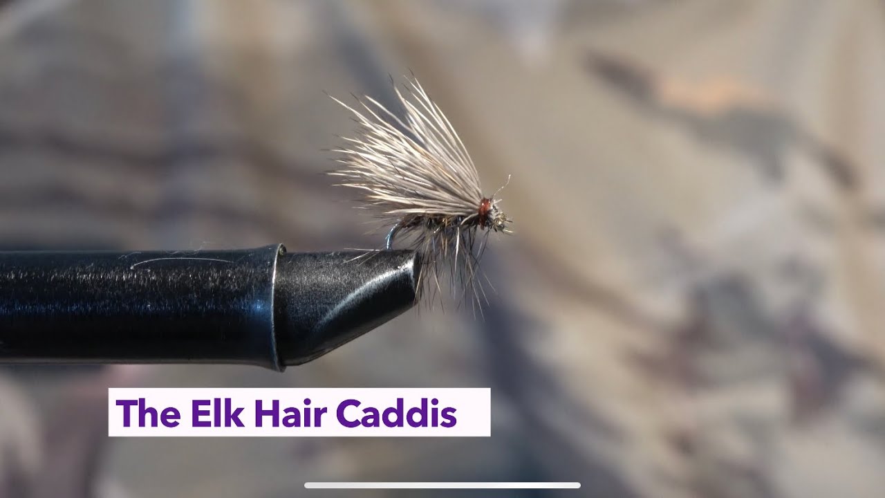 Tying The Fly How to tie the The Elk Hair Caddis! (One of the best