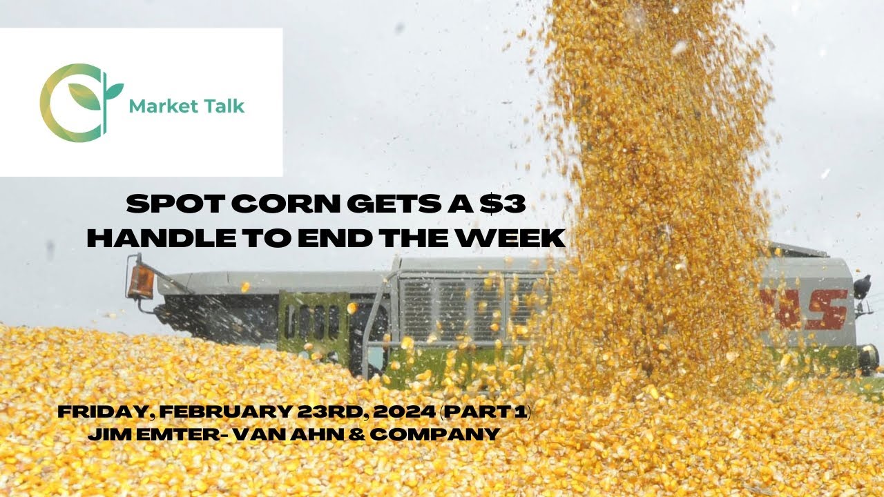 Spot Corn Gets a $3 Handle to End the Week - YouTube