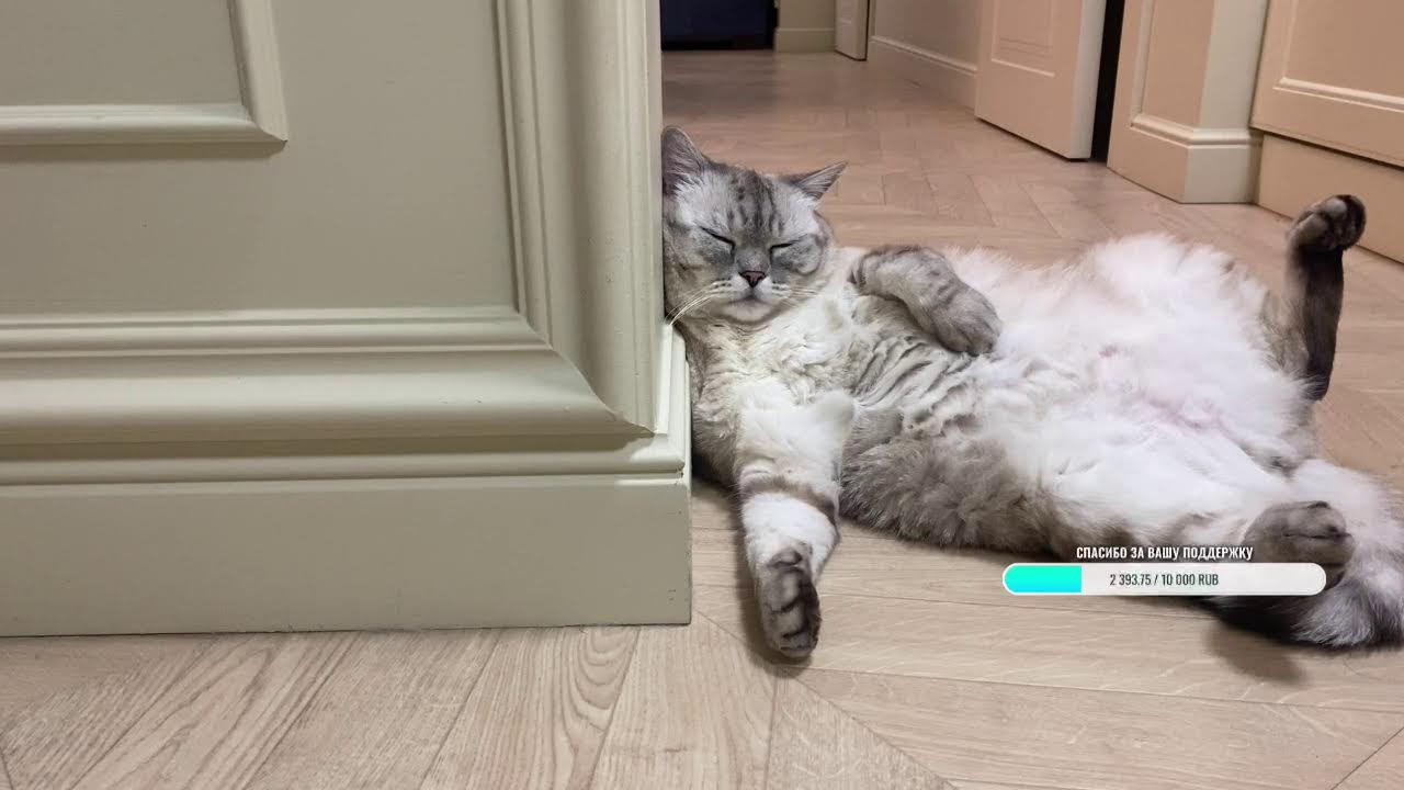 Добрый вечер