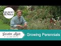 Growing Perennials | Garden Style (121)