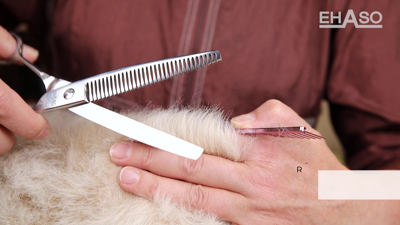 Effilier- und Modellierscheren im Vergleich | EHASO