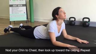 Neck Nods and Rotations
