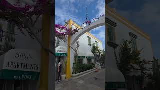 Flowers of Puerto de Mogan, Gran Canaria 🤩