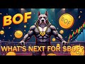 🔥 WHAT'S NEXT FOR $BOF | AMA SESSION WITH THE TOKEN FOUNDER! 🔥