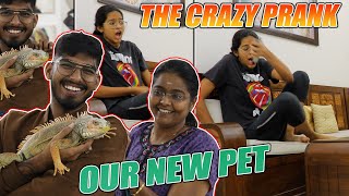 SNEHA FREAKED OUT AFTER SEEING MY NEW PET IGUANA || #justbanana