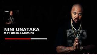 P-Funk Majani ft. P1 Black & Stamina - Nini Unataka (Visualizer)