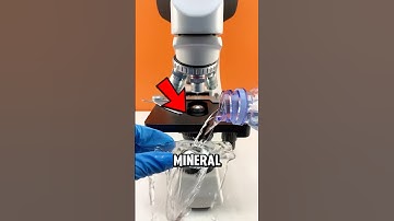 Bottled Water Under the Microscope 😱