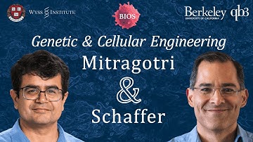 Roundtable #7 - Genetic & Cellular Engineering w/ David Schaffer & Samir Mitragotri | BIOS