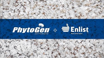 Understanding the Enlist System