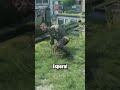 O segredo mais bizarro de Left4Dead 2 #left4dead2 #breakingbad #gamesbrasil #curiosidadesgamer