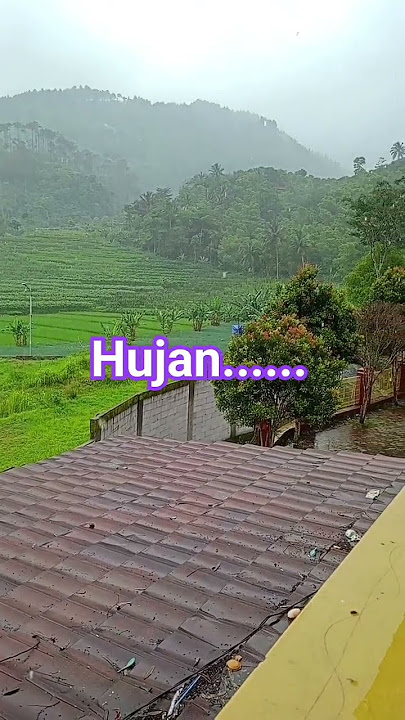 hujan duit dipegunungan#lucu #desaku#inspiration