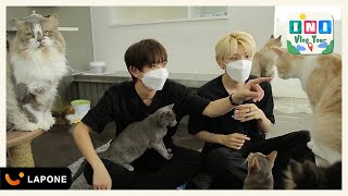 [INI Korea Vlog Tour] 〜猫カフェ編〜