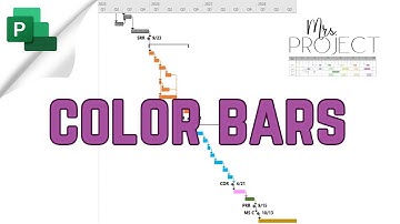 Change Symbol Colors - MS Project