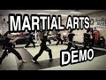 Team alliance  martial arts demo