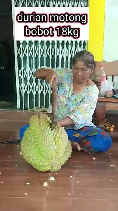 durian super jumbo #montong #musangking #durian